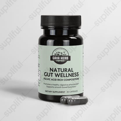 Natural Gut Wellness Capsules