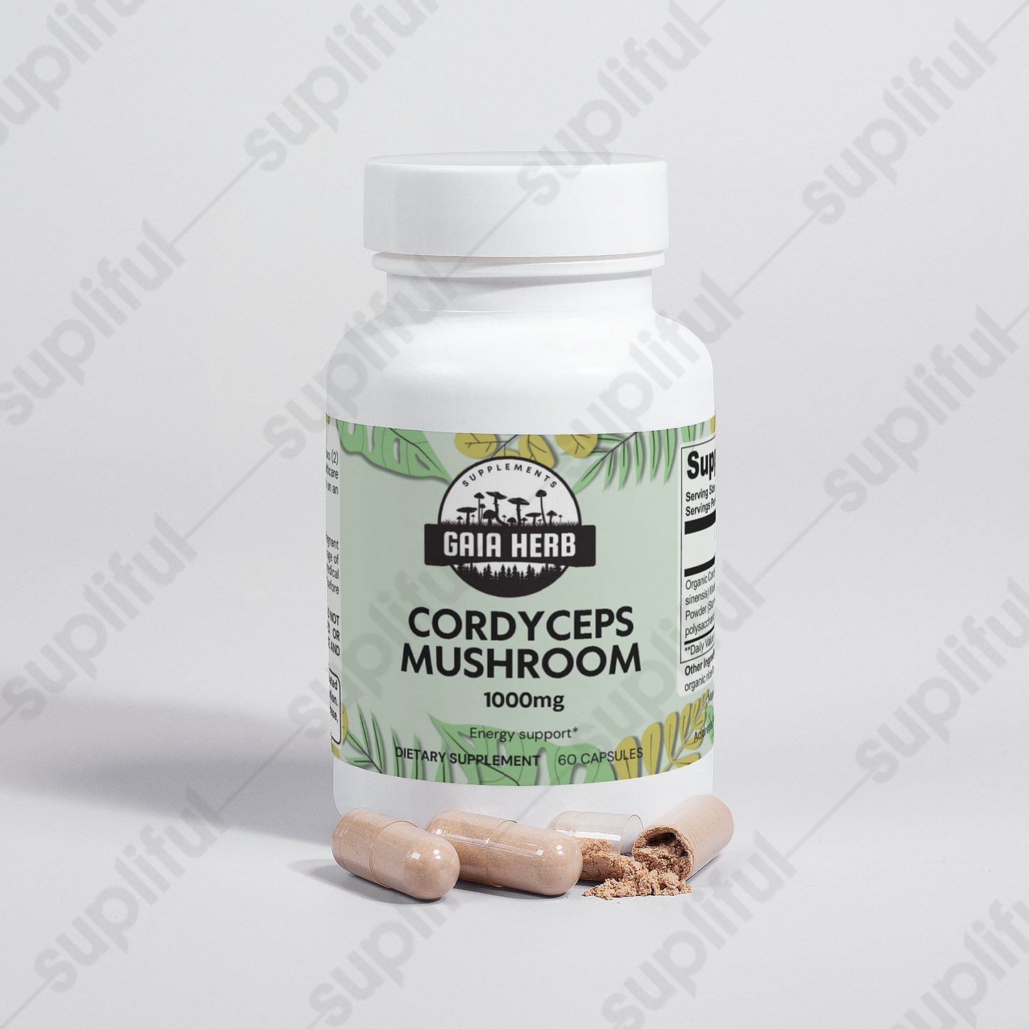 Cordyceps Mushroom