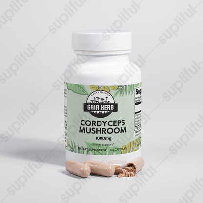 Cordyceps Mushroom